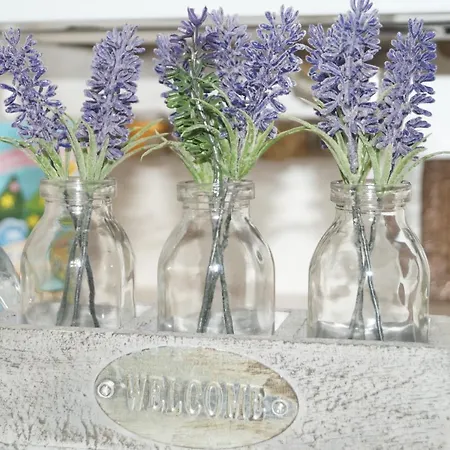 Dominicana L L Historical Center * Львов