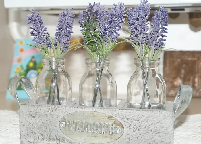 Dominicana L L Historical Center * Львов